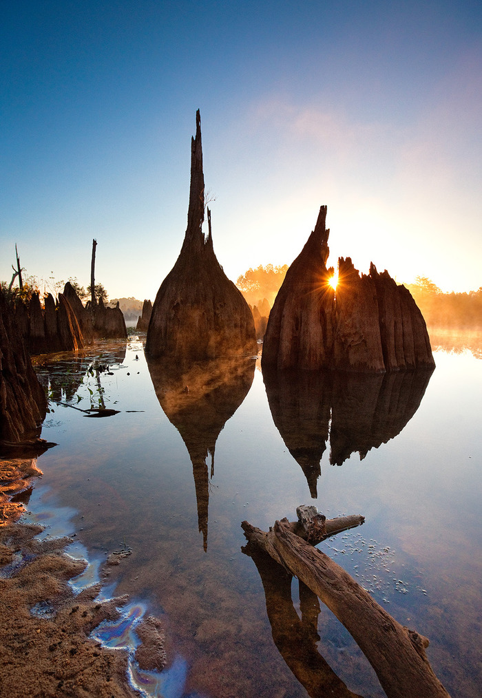 Dead Lakes,FL